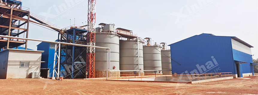 Guinea 3000tpd Gold Ore CIP Processing Plant.jpg